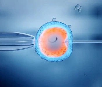 IVF.webp
